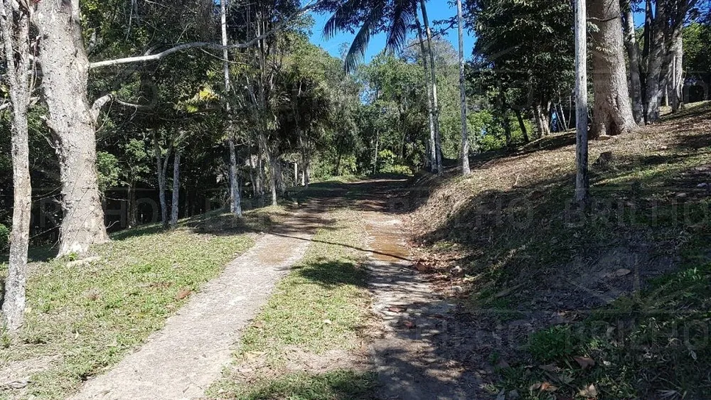 Sítio, 4 quartos, 28000 m² - Foto 3