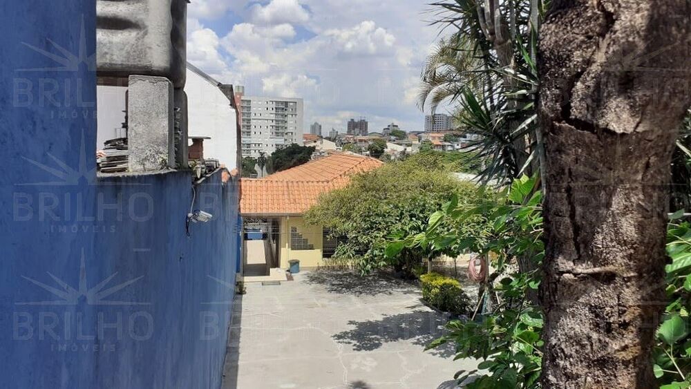 Casa, 4 quartos, 500 m² - Foto 4