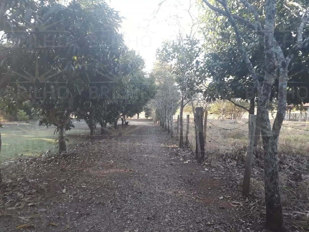 Casa, 3 quartos, 4000 m² - Foto 8