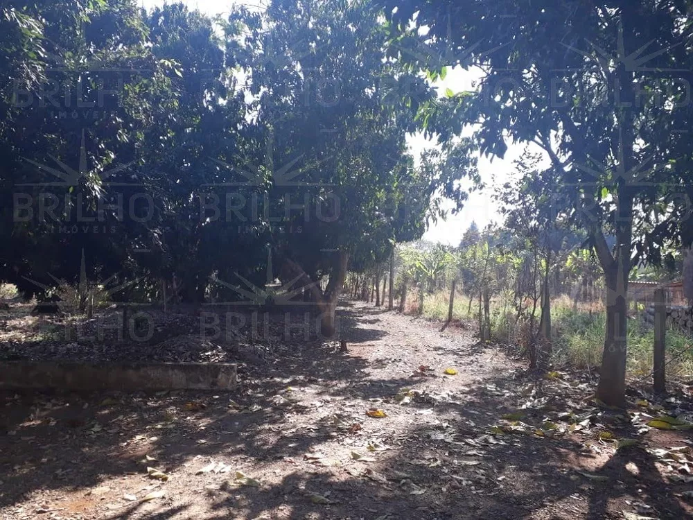 Casa, 3 quartos, 4000 m² - Foto 5