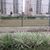 Apartamento, 3 quartos, 65 m² - Foto 16