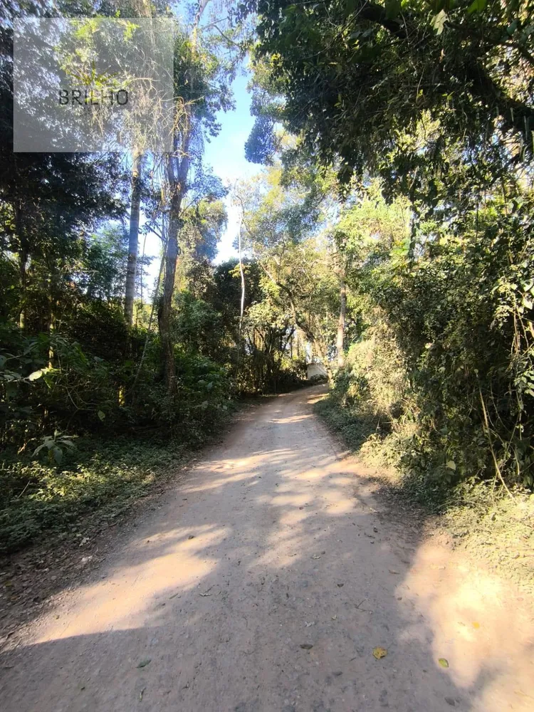 Terreno, 10000 m² - Foto 3