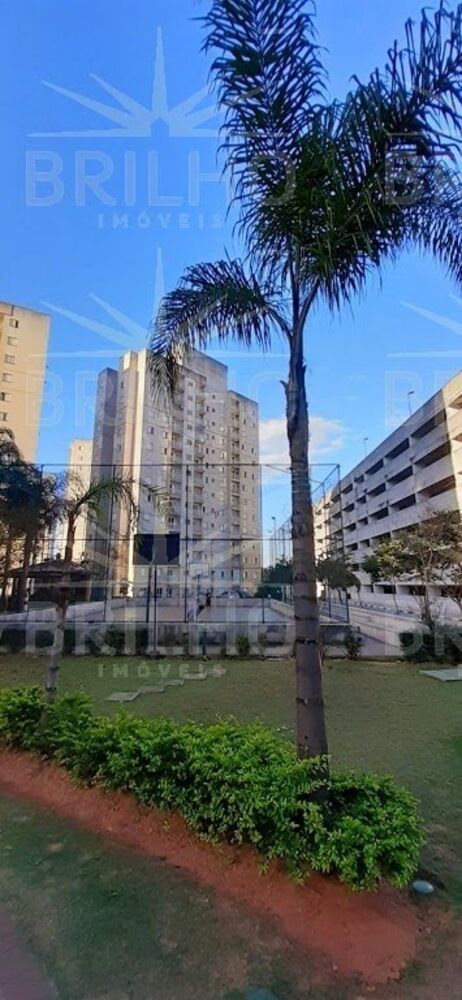 Apartamento, 3 quartos, 80 m² - Foto 26