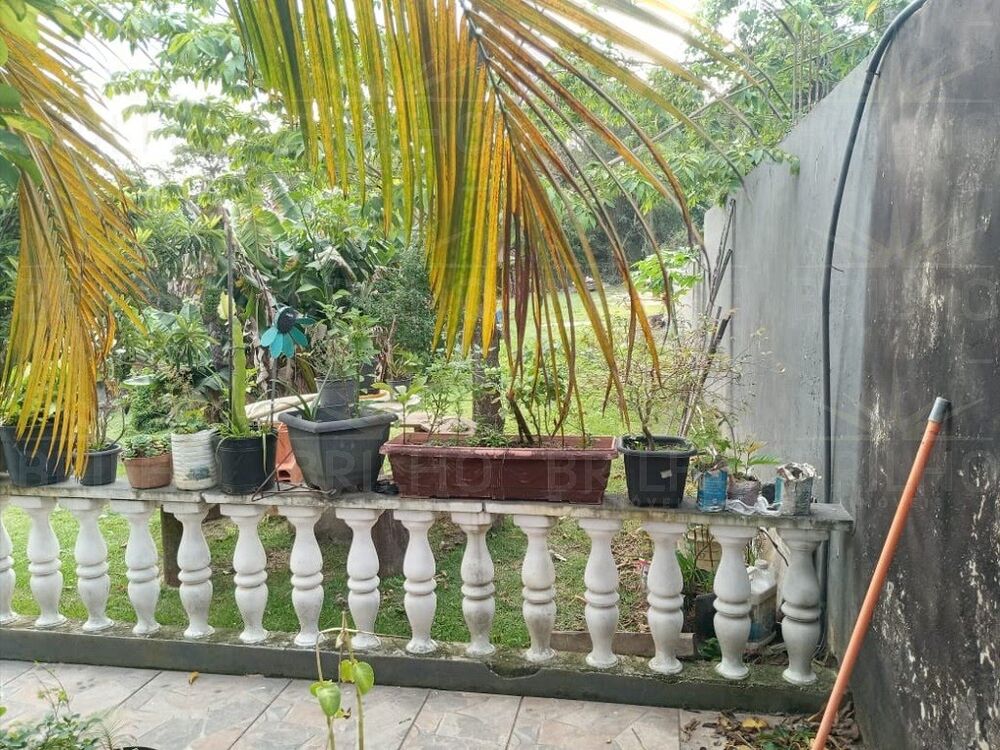 Chácara, 3 quartos - Foto 2