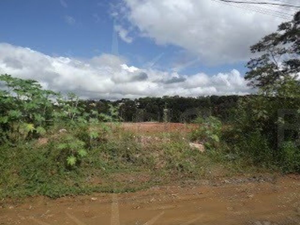 Terreno, 12700 m² - Foto 1