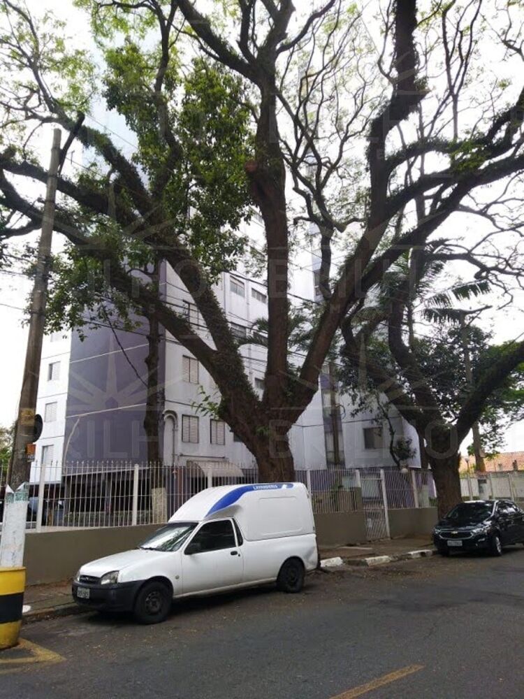 Apartamento, 3 quartos, 60 m² - Foto 3