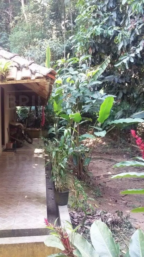 Fazenda - Foto 27