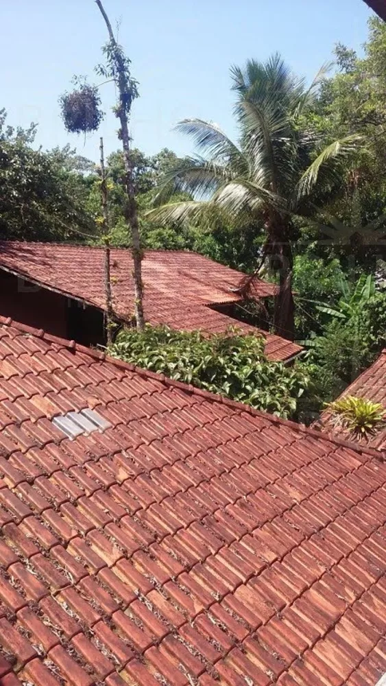 Fazenda - Foto 4