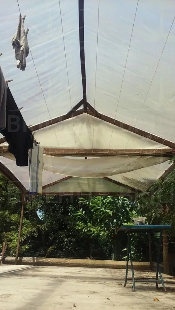 Fazenda - Foto 26
