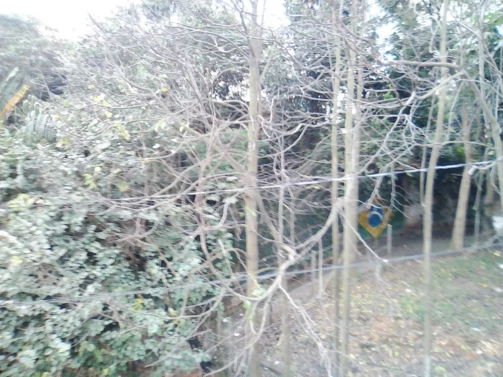 Sobrado, 5 quartos, 367 m² - Foto 1