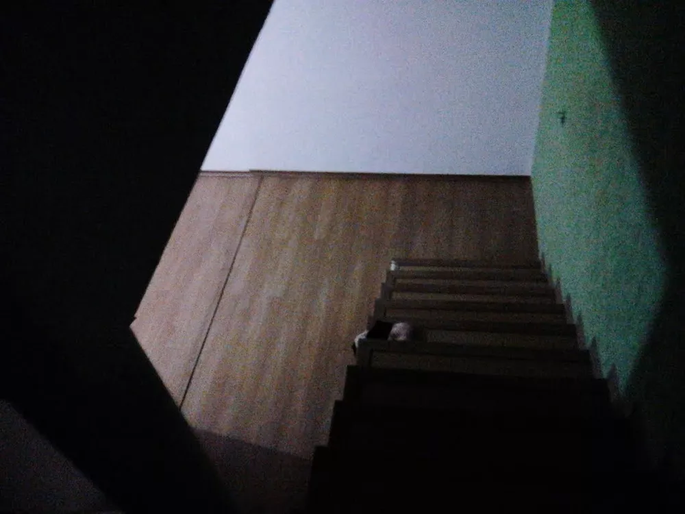 Sobrado, 5 quartos, 367 m² - Foto 17