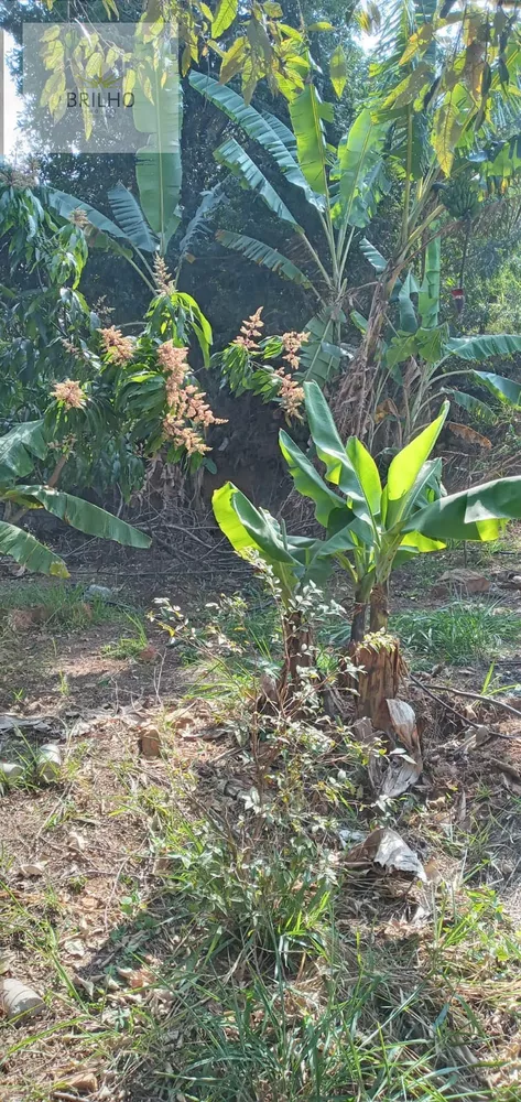 Fazenda à venda, 1455m² - Foto 18