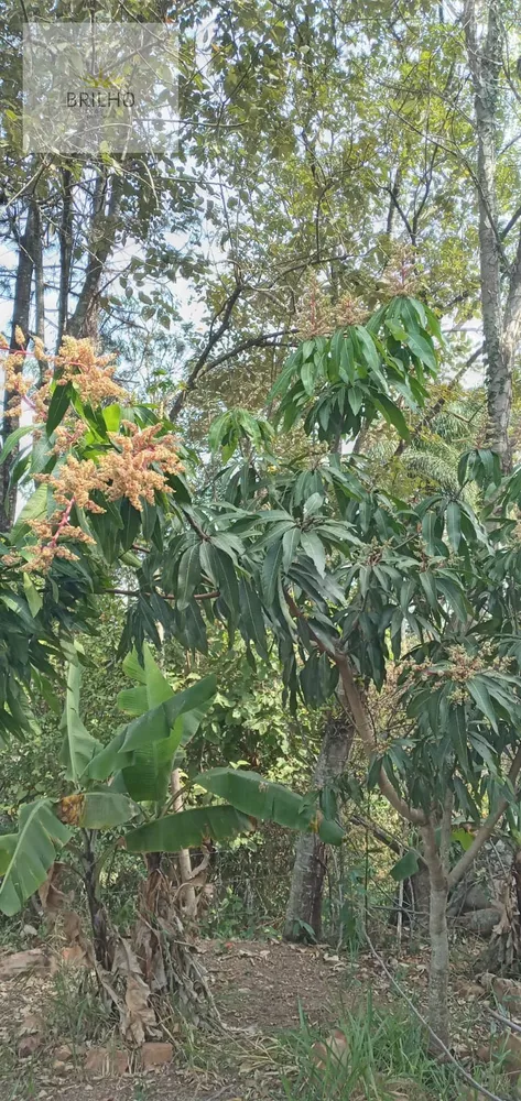 Fazenda à venda, 1455m² - Foto 16