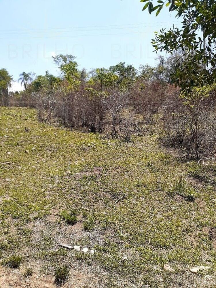 Terreno, 1000 m² - Foto 1