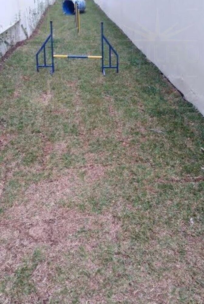 Apartamento à venda com 2 quartos, 63m² - Foto 14