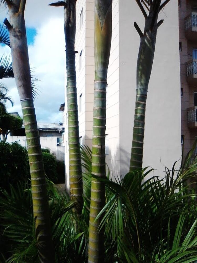 Apartamento, 2 quartos, 58 m² - Foto 15