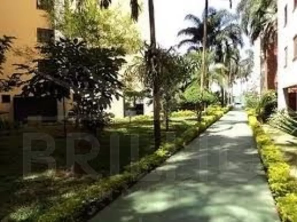 Apartamento, 3 quartos, 76 m² - Foto 10