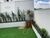 Apartamento, 1 quarto, 150 m² - Foto 7
