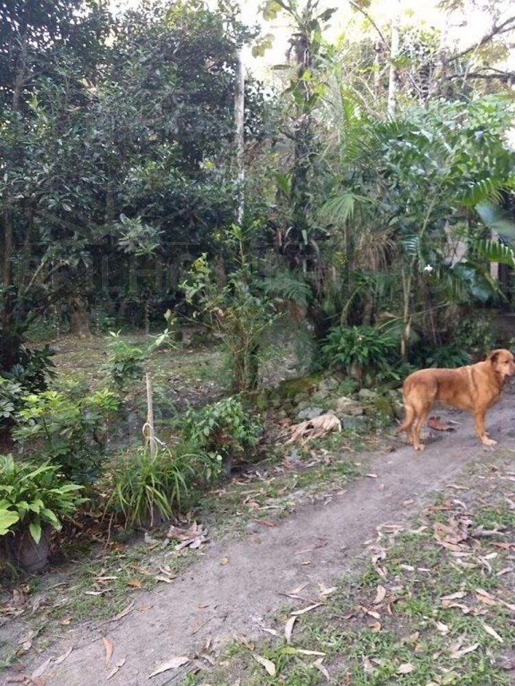 Casa, 3 quartos, 150 m² - Foto 12