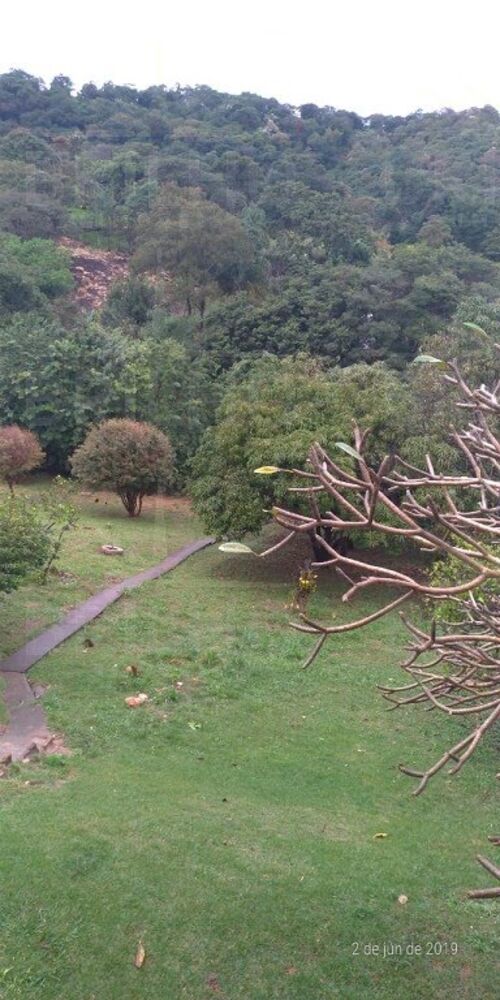 Chácara à venda com 4 quartos, 4500m² - Foto 11