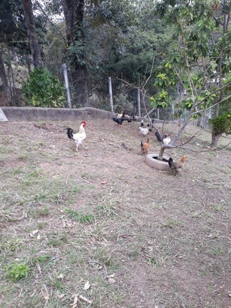 Chácara à venda com 4 quartos, 4500m² - Foto 25