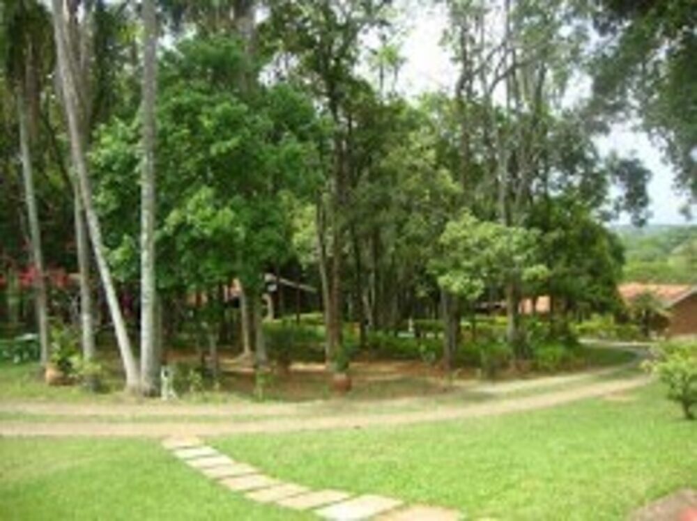 Sítio à venda com 4 quartos, 20000m² - Foto 2