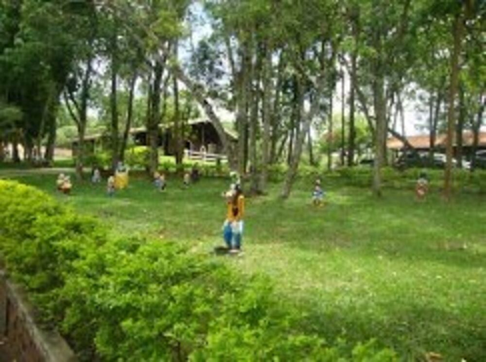 Sítio à venda com 4 quartos, 20000m² - Foto 8
