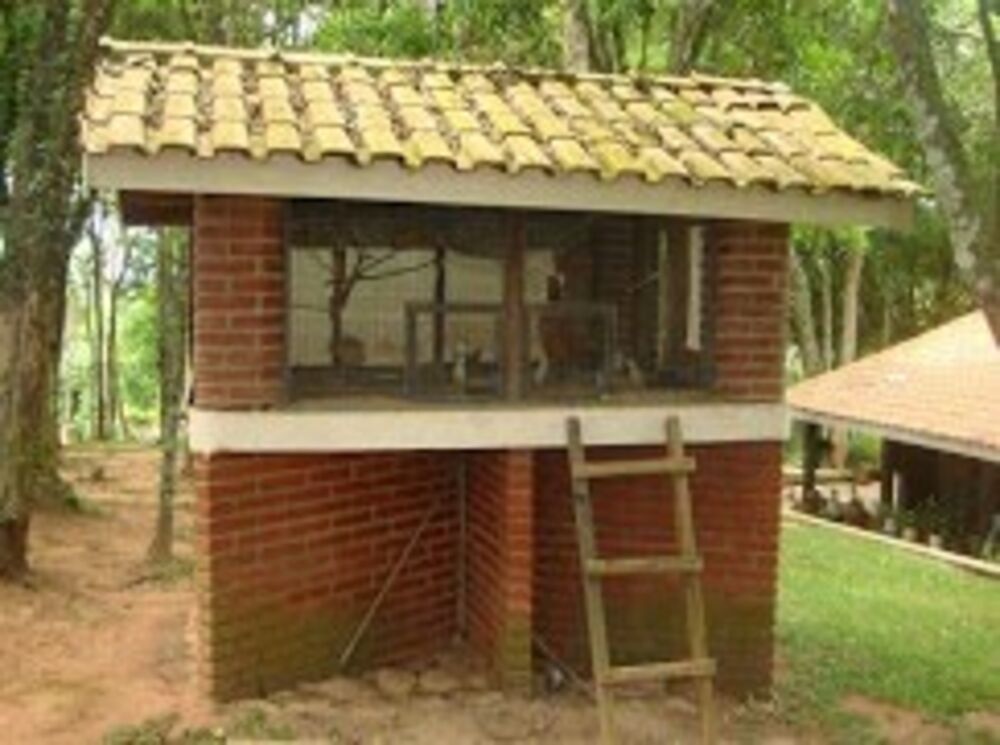 Sítio à venda com 4 quartos, 20000m² - Foto 10
