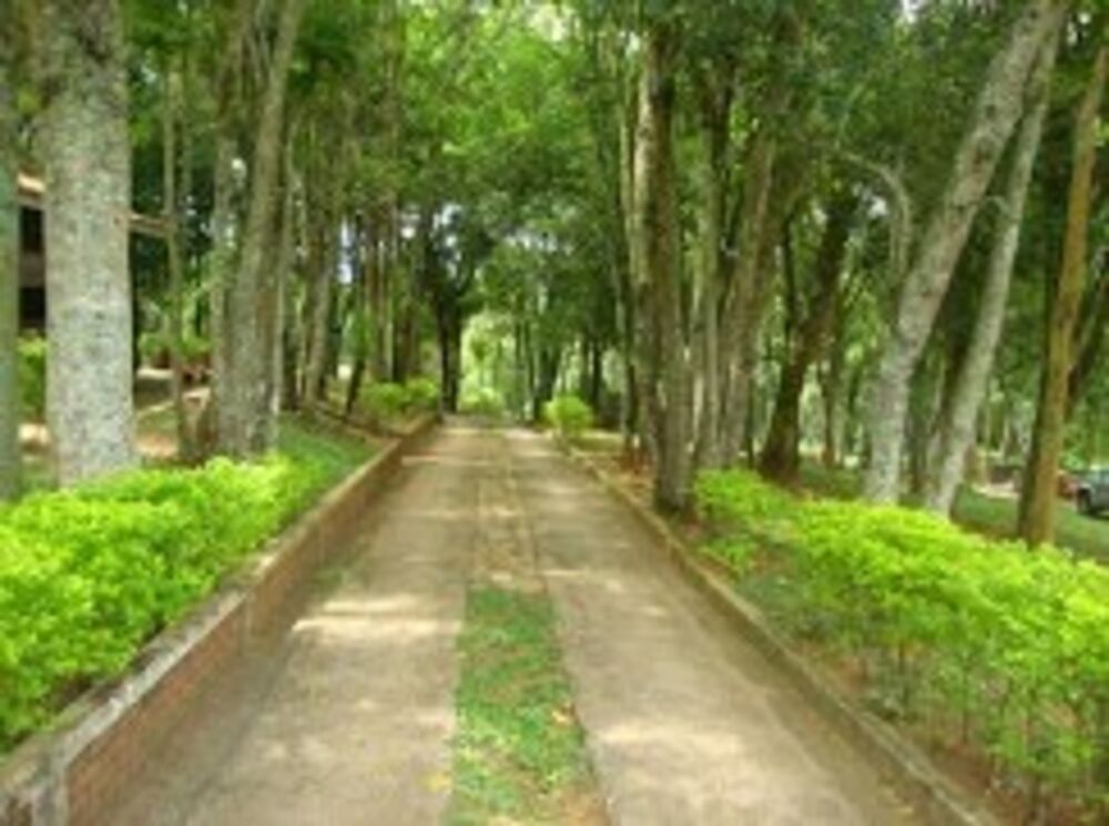 Sítio à venda com 4 quartos, 20000m² - Foto 7