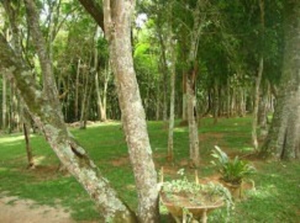 Terreno, 5930 m² - Foto 4