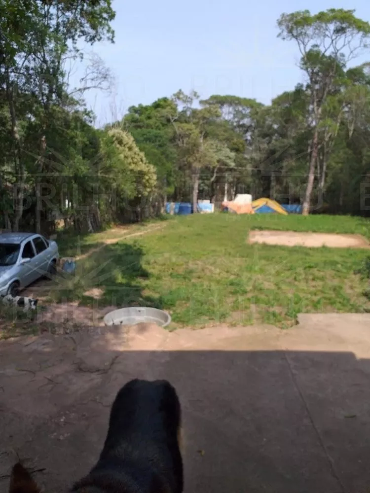 Chácara, 3 quartos - Foto 13