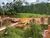 Terreno, 310 m² - Foto 4