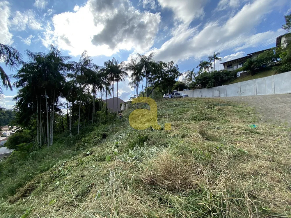 Terreno, 1159 m² - Foto 8