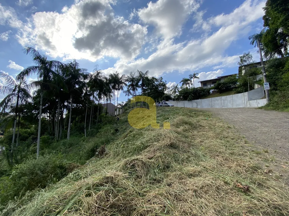 Terreno, 1159 m² - Foto 9
