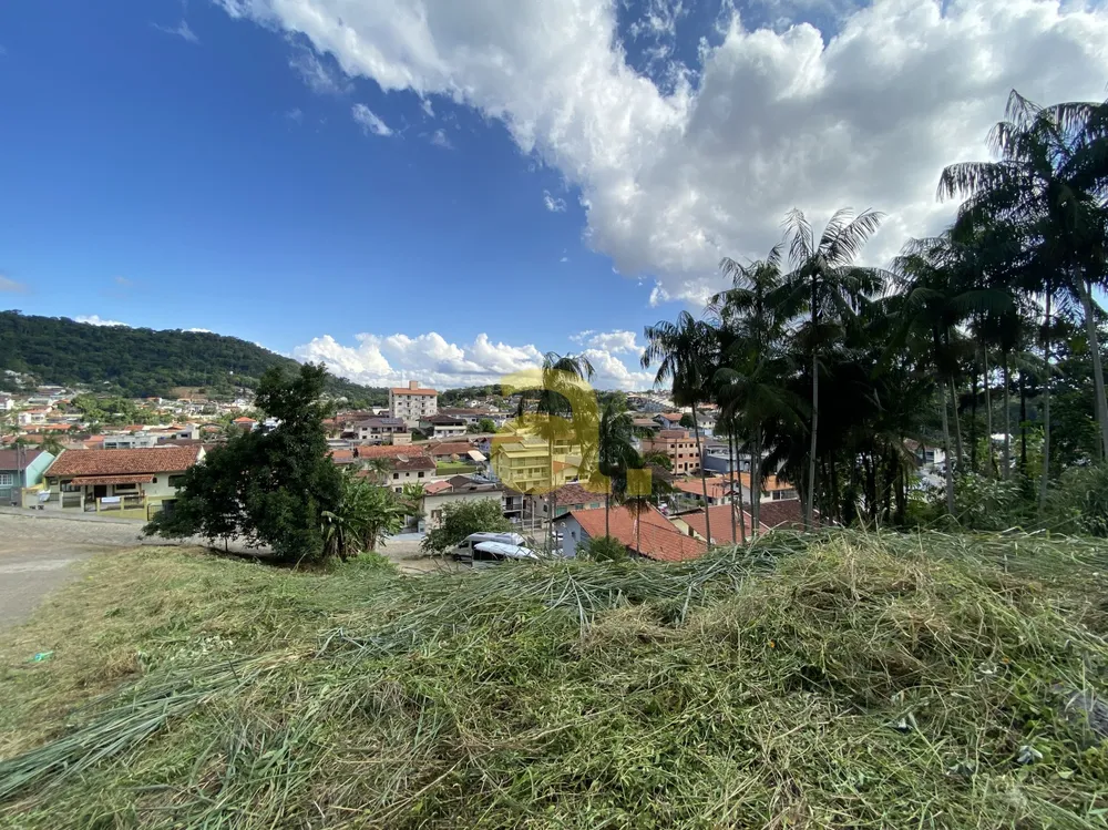 Terreno, 1159 m² - Foto 3