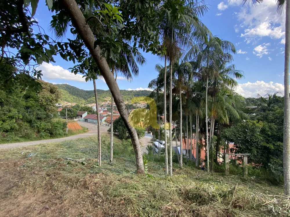 Terreno, 1159 m² - Foto 12