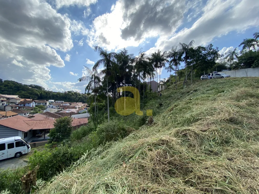 Terreno, 1159 m² - Foto 10