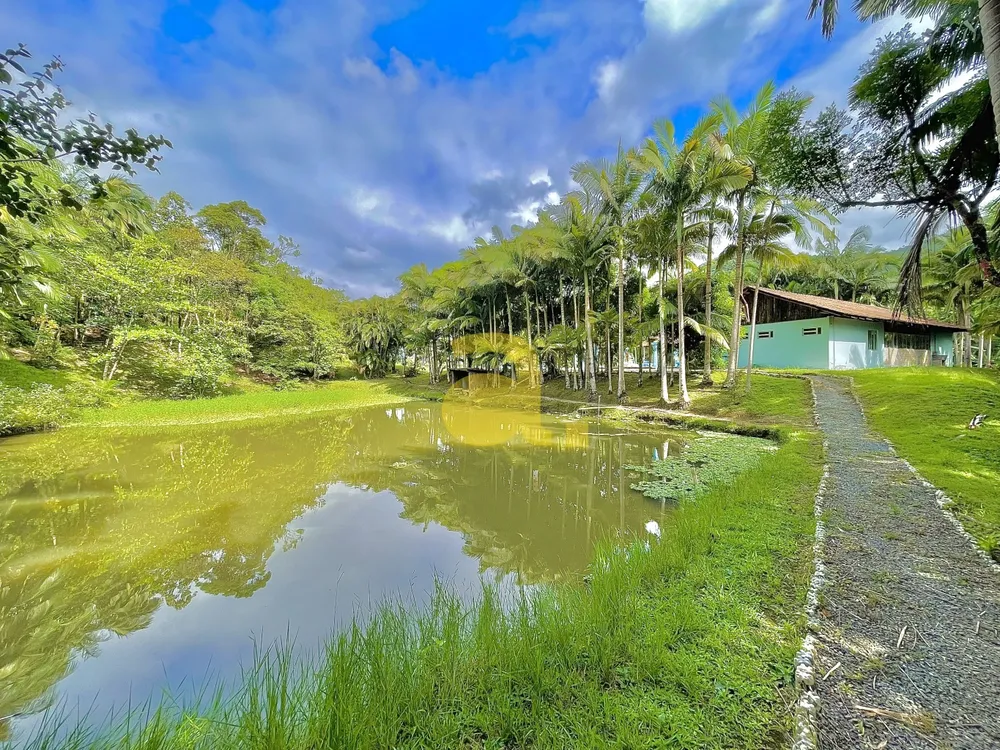Chácara, 8 quartos, 2 hectares - Foto 3