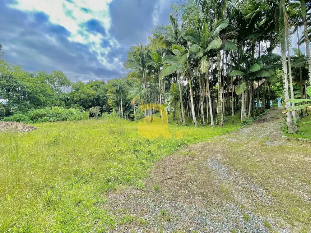 Chácara, 8 quartos, 2 hectares - Foto 4