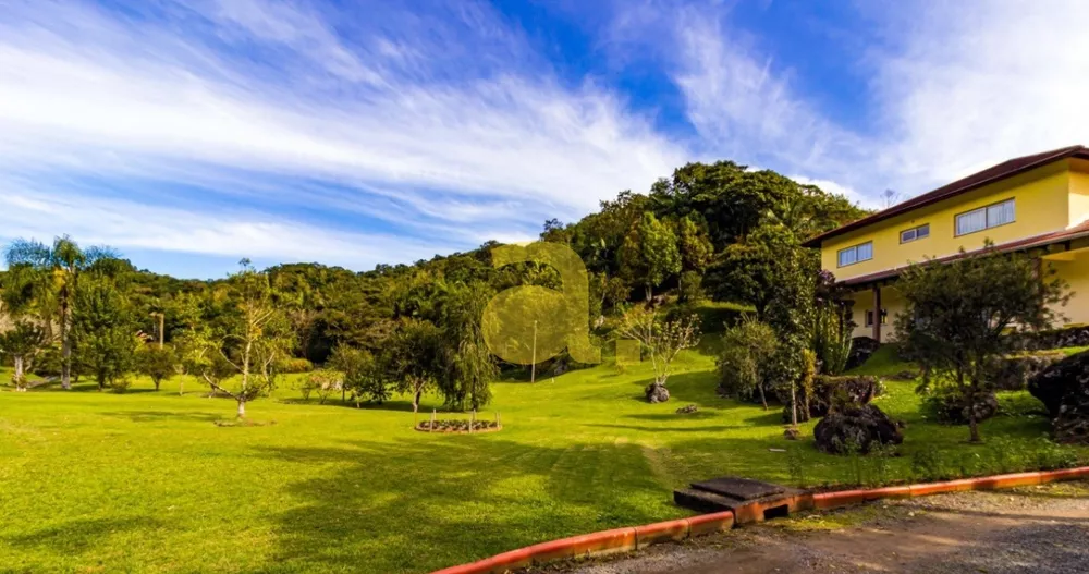 Fazenda à venda com 4 quartos, 46000m² - Foto 2