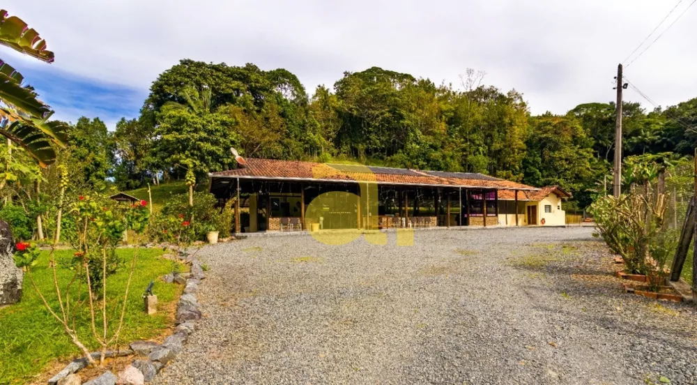 Fazenda à venda com 4 quartos, 46000m² - Foto 6