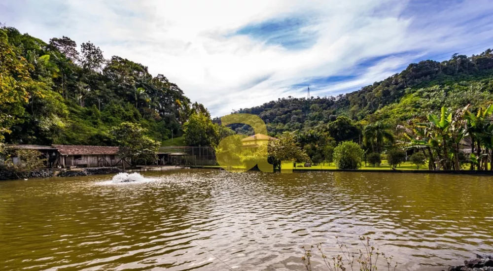 Fazenda à venda com 4 quartos, 46000m² - Foto 5