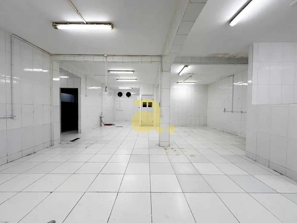 Sala-Conjunto, 220 m² - Foto 3