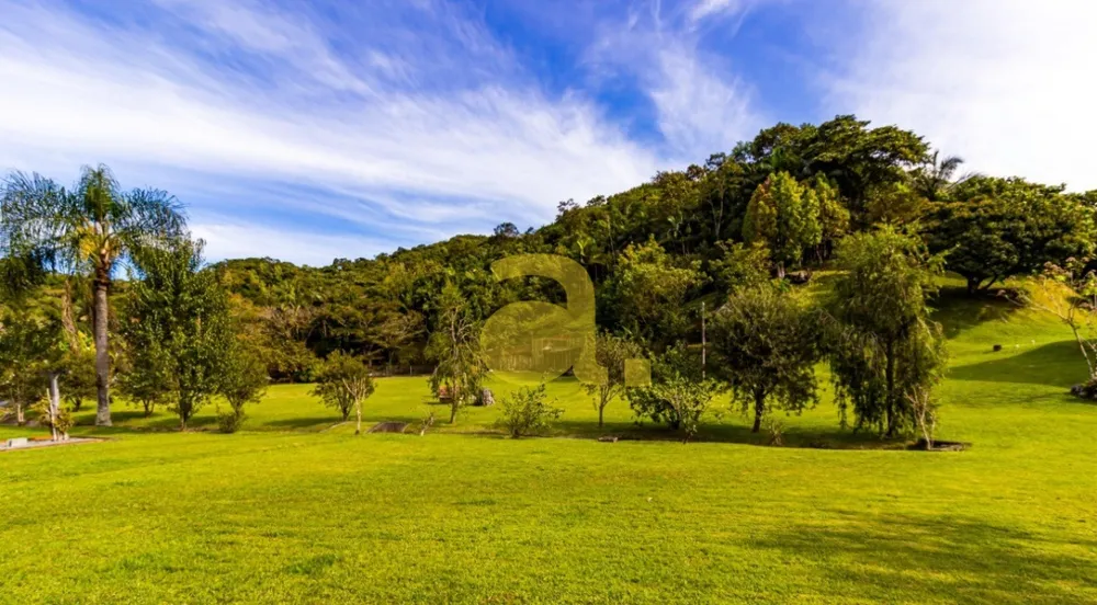 Sítio, 4 quartos, 5 hectares - Foto 8