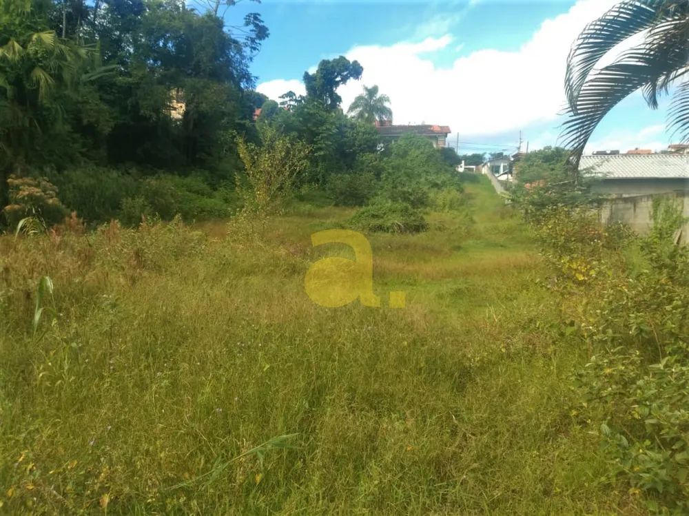 Terreno, 4129 m² - Foto 2