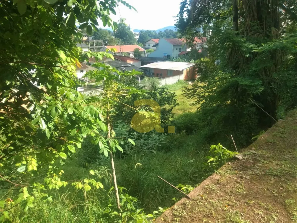 Terreno, 4129 m² - Foto 3