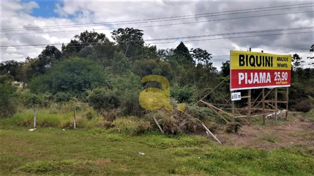 Terreno, 10000 m² - Foto 6