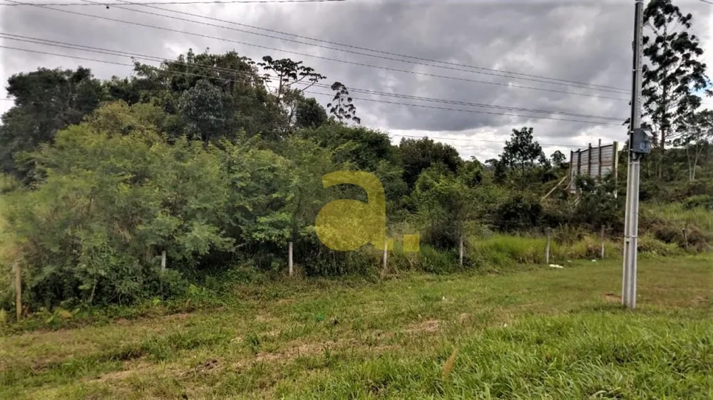 Terreno, 10000 m² - Foto 2