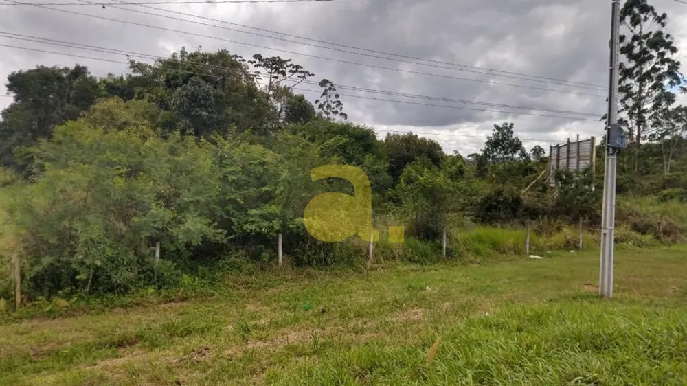 Terreno, 10000 m² - Foto 8