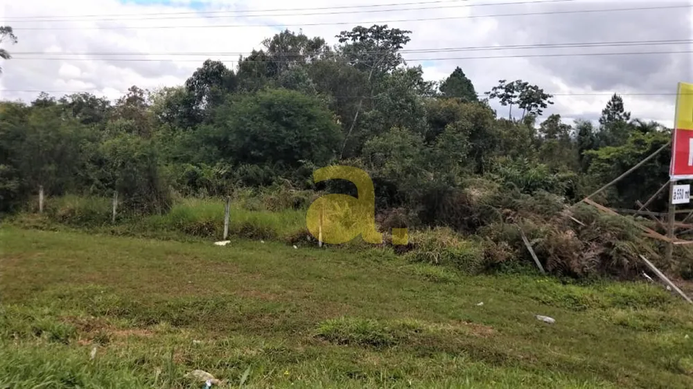 Terreno, 10000 m² - Foto 7